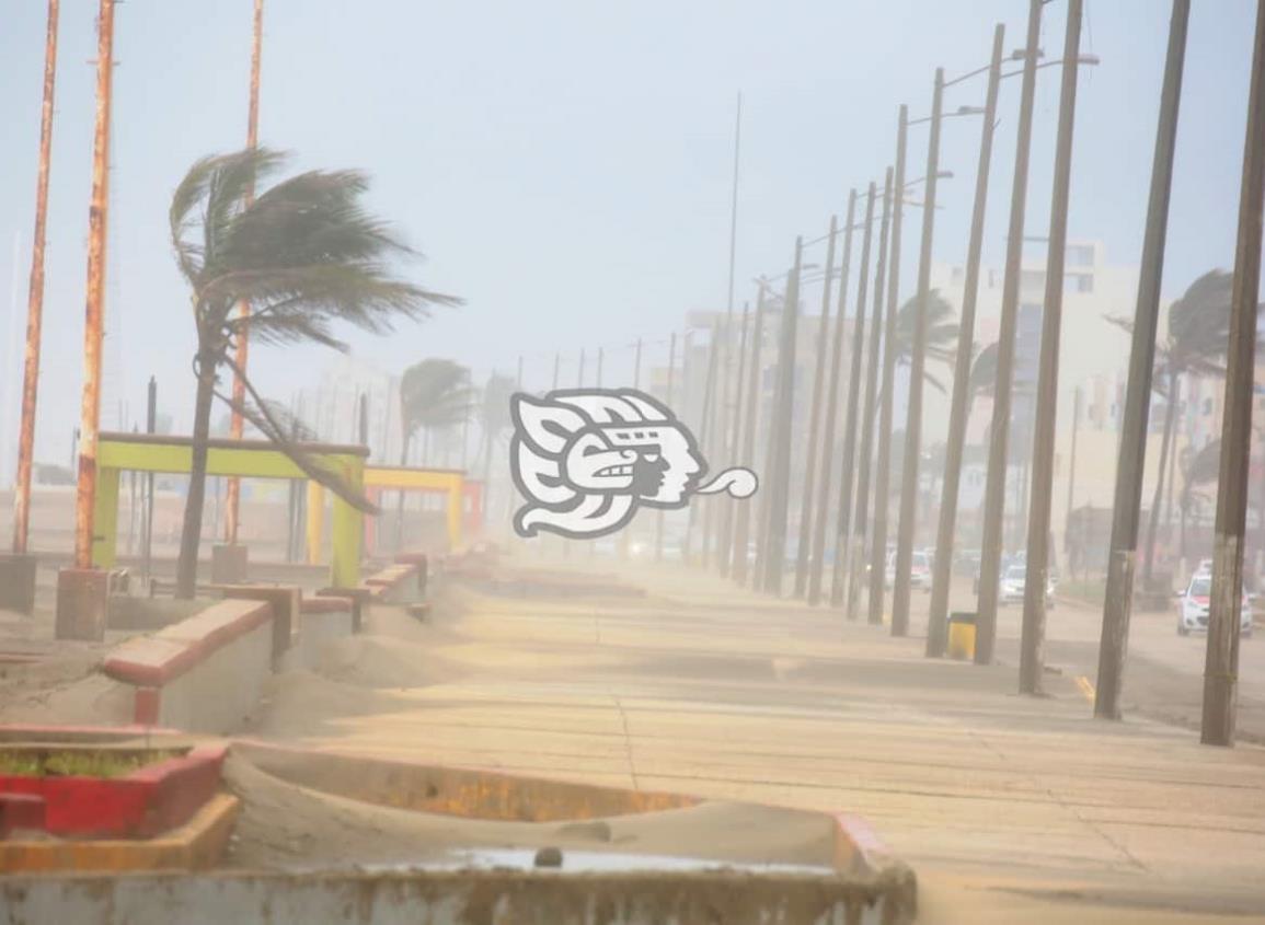 Alerta gris por FF 36 en Coatzacoalcos; advierten ráfagas de 110 km/h