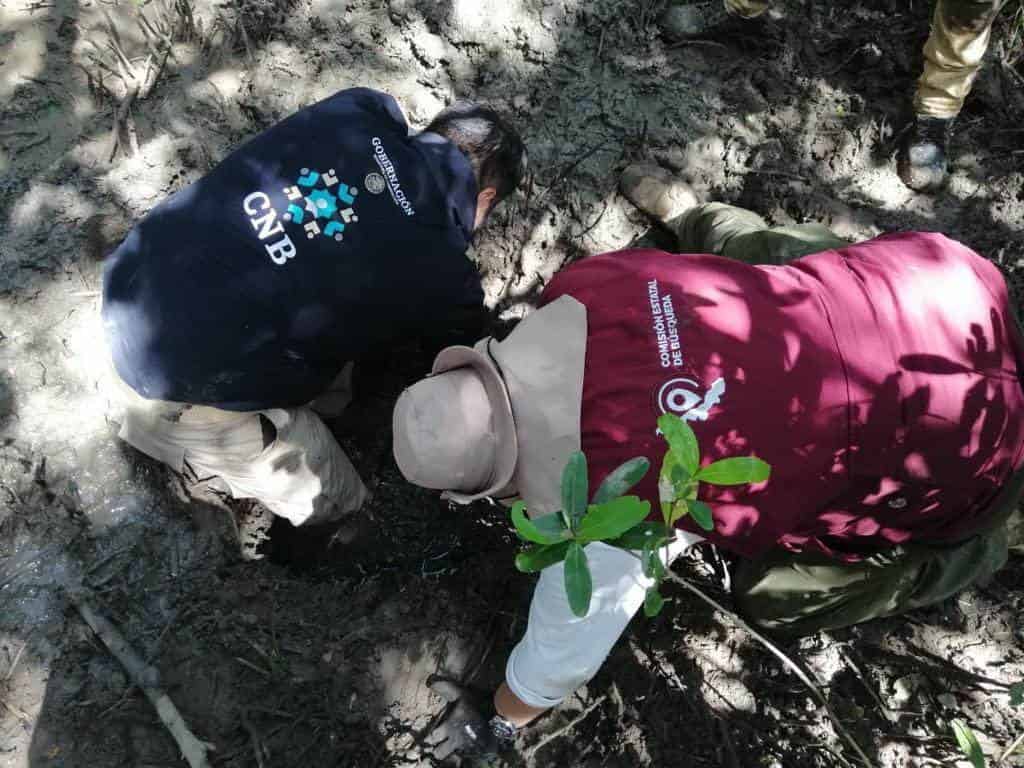 Hallan más fosas clandestinas en Alvarado