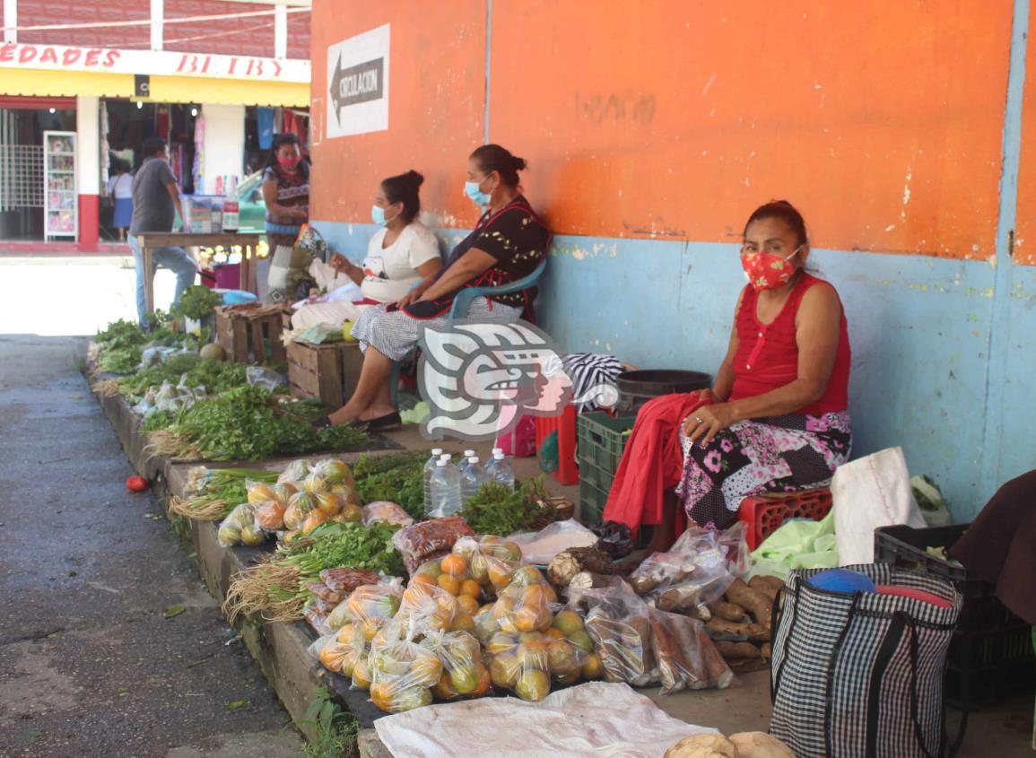 Gracias a remedios caseros, subsisten hierberas del mercado de La Venta