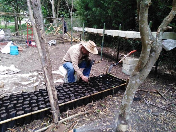 Donan 15 mil plantas de especies maderables y frutales en Mendoza