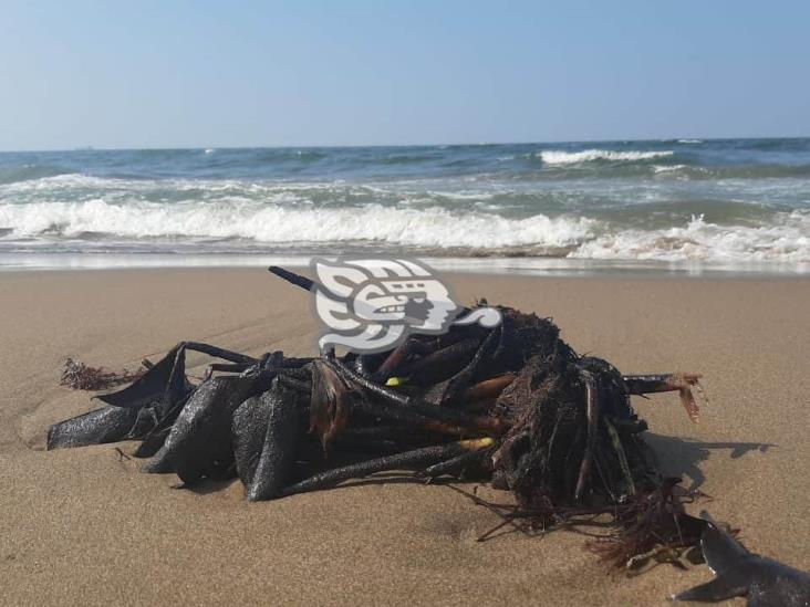 Detectan manchas de hidrocarburo en playas de Villa Allende