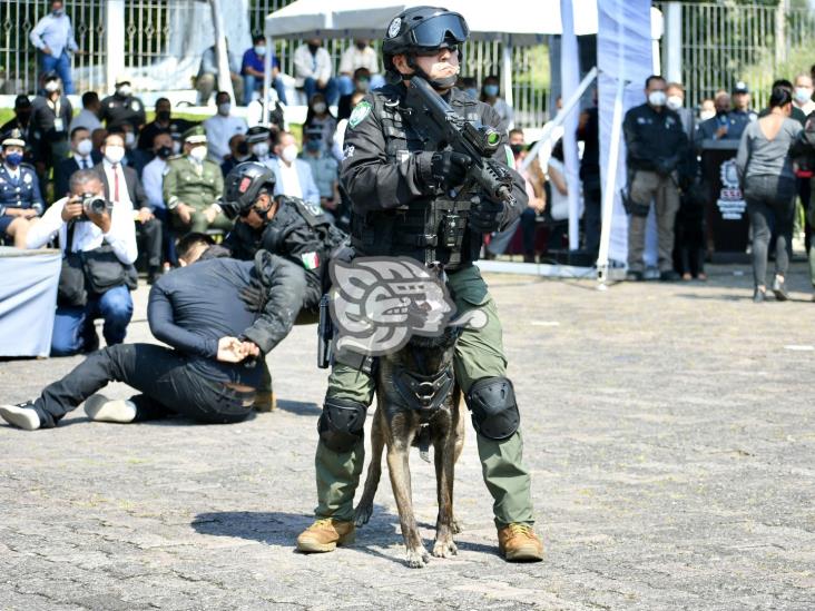 Arranca diplomado internacional K9 en Academia de Policía de Xalapa