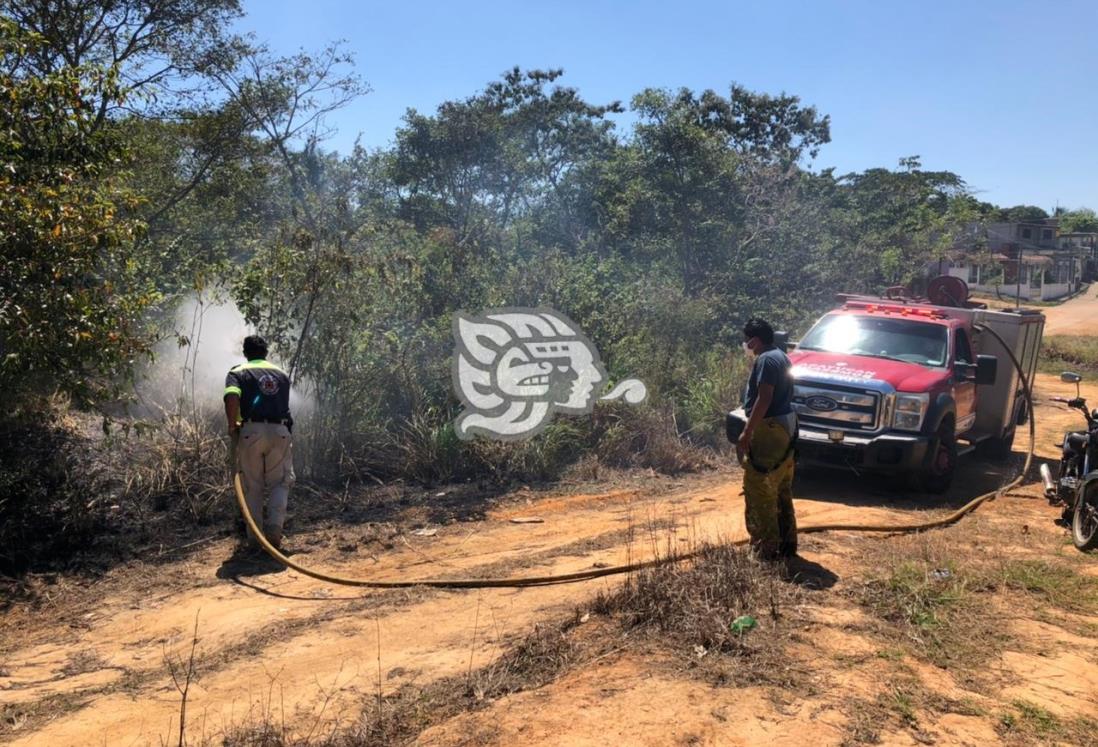 Incendio de pastizal en corralón, genera movilización en Acayucan