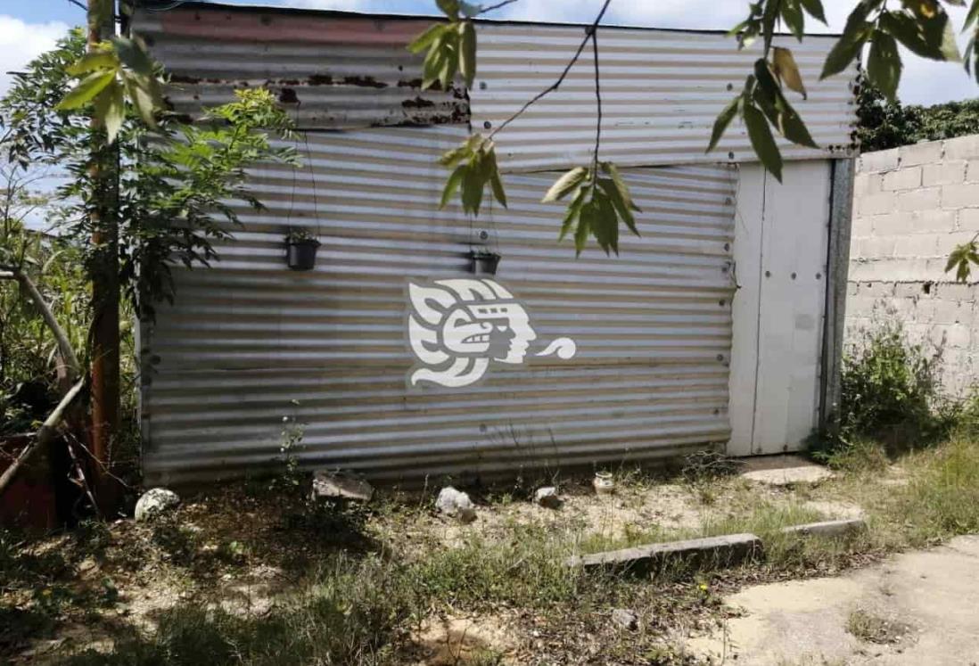 Nanchitecos intentaron linchar a presunto abusador infantil