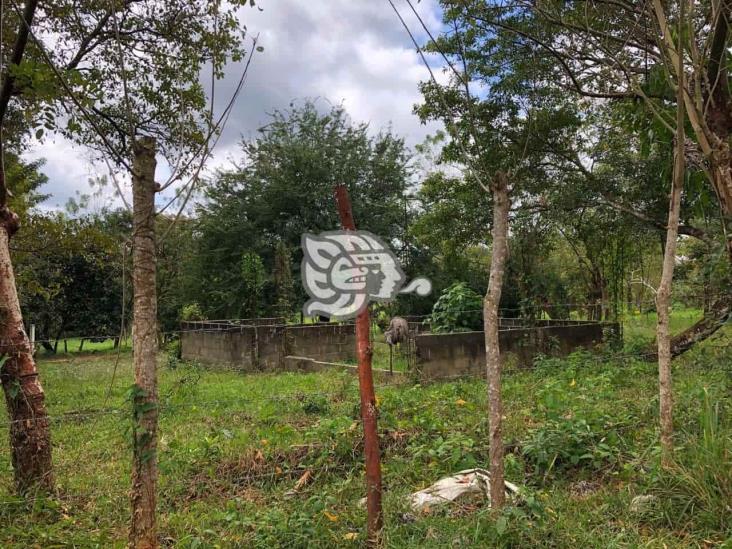 Exhuman cadáver en fosa hallada en zona rural de Soconusco