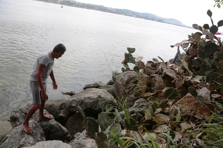 Benito, sobrevive entre nopales; su hogar: las rocas de las escolleras de Coatza