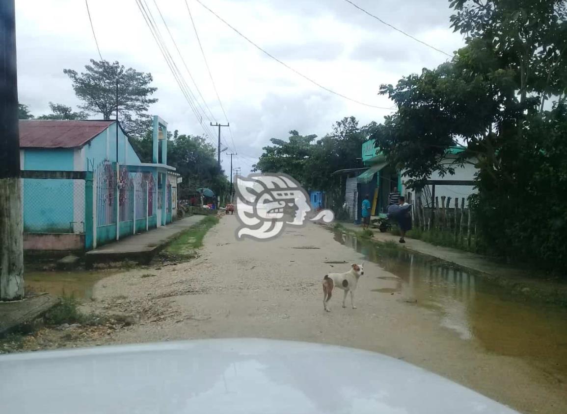 Dan golpiza a curandero en campo del área rural de Minatitlán