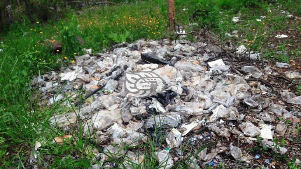 En Soteapan se caducan paquetes de despensas y van a parar a la basura