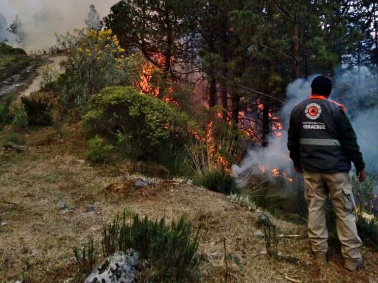 Tala e incendios, afectan gravemente al Pico de Orizaba