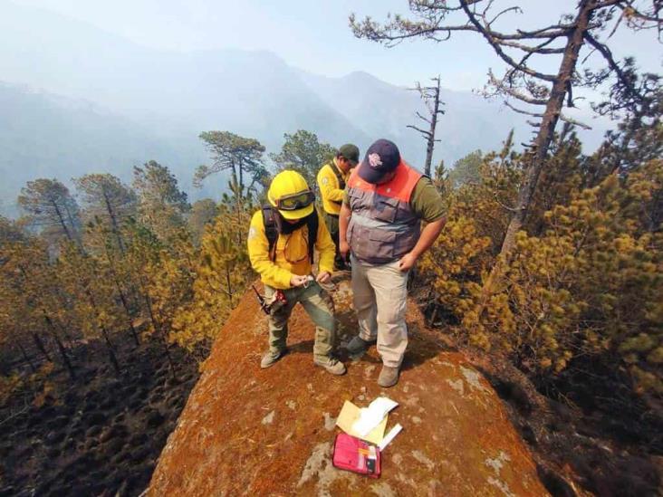 Incendio en el Pico de Orizaba afectó más de 110 hectáreas