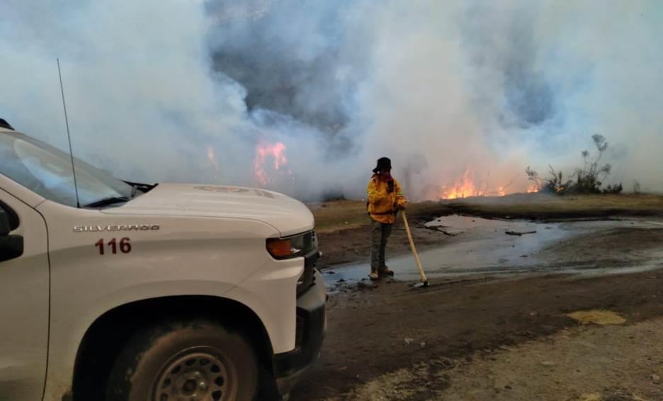 Se mantienen activos 3 incendios forestales en Veracruz