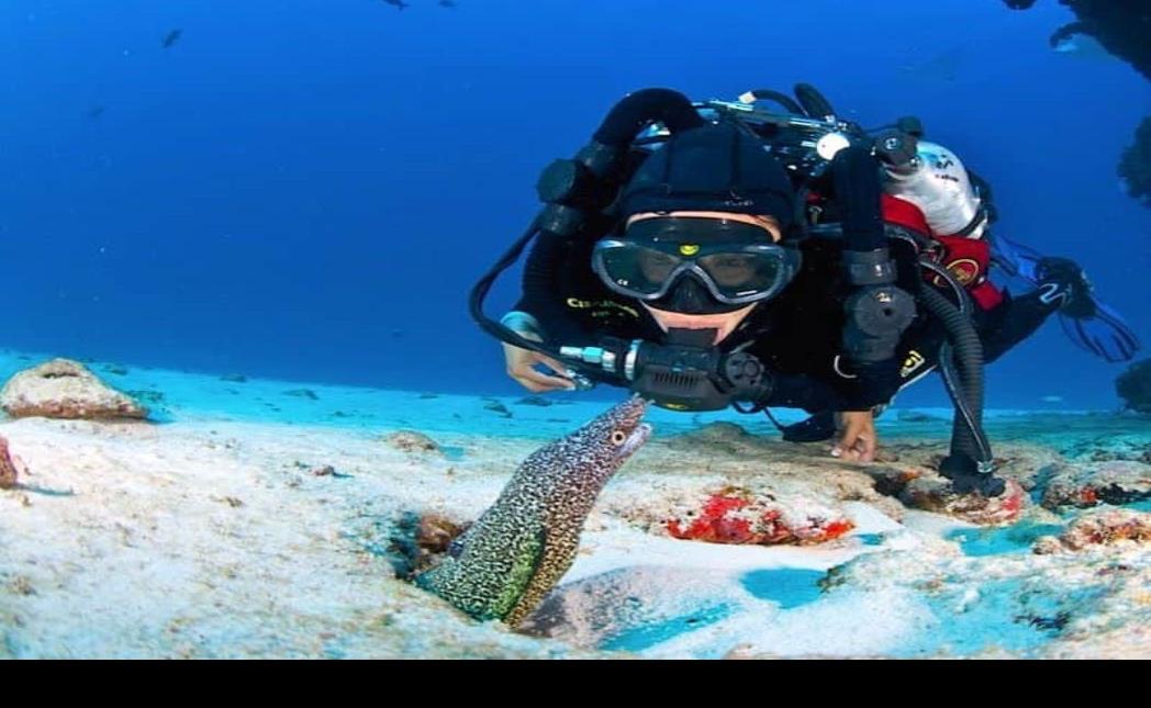 Actividades de lujo que puedes hacer en Cancún