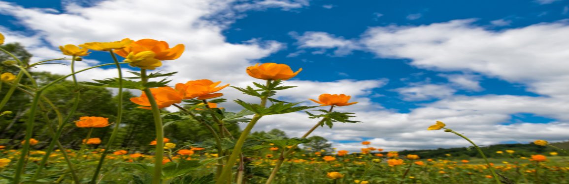 ¿Qué representa la primavera en nuestra vida?