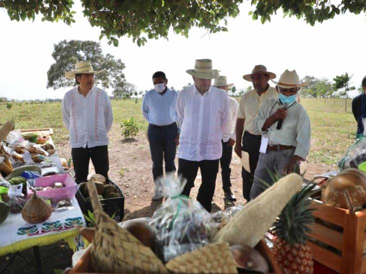 Sembrando Vida y Tandas, esperanza al campo: Cuitláhuac García