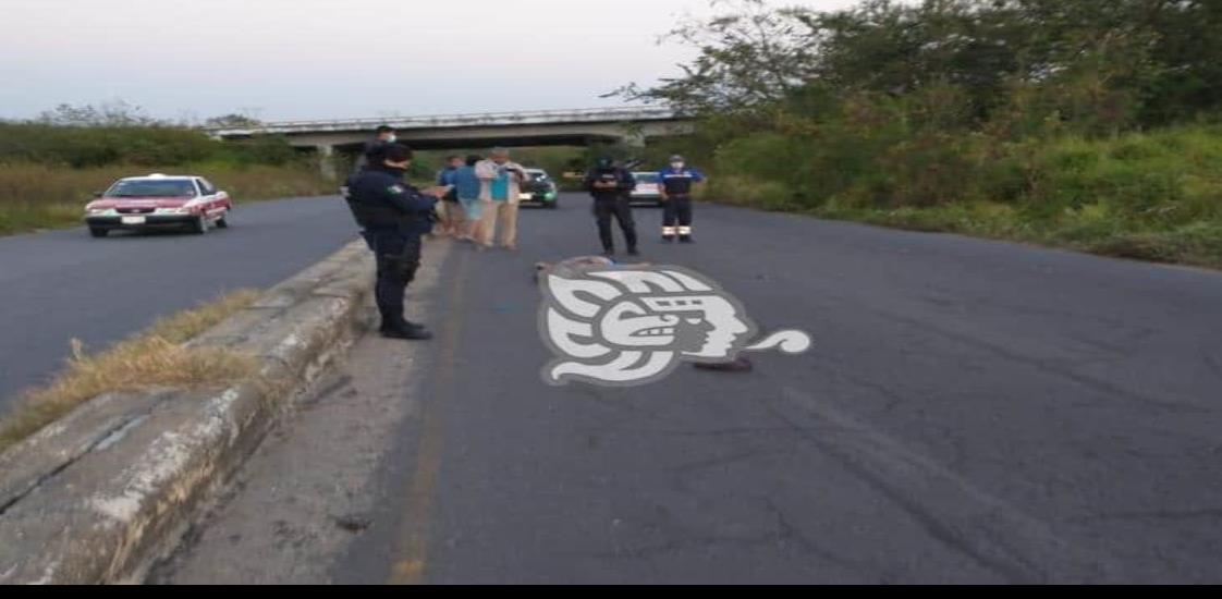 Hombre muere atropellado en carretera Minatitlán-Cosoleacaque