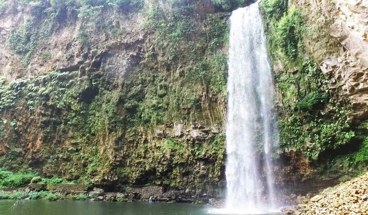 Bandas capturan especies marinas del río Apulco; las venden en Veracruz