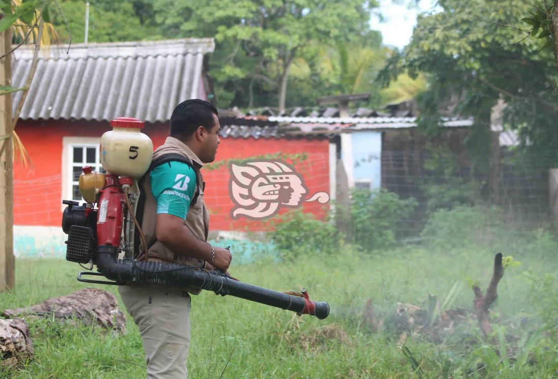 Refuerzan fumigación contra el dengue en Agua Dulce