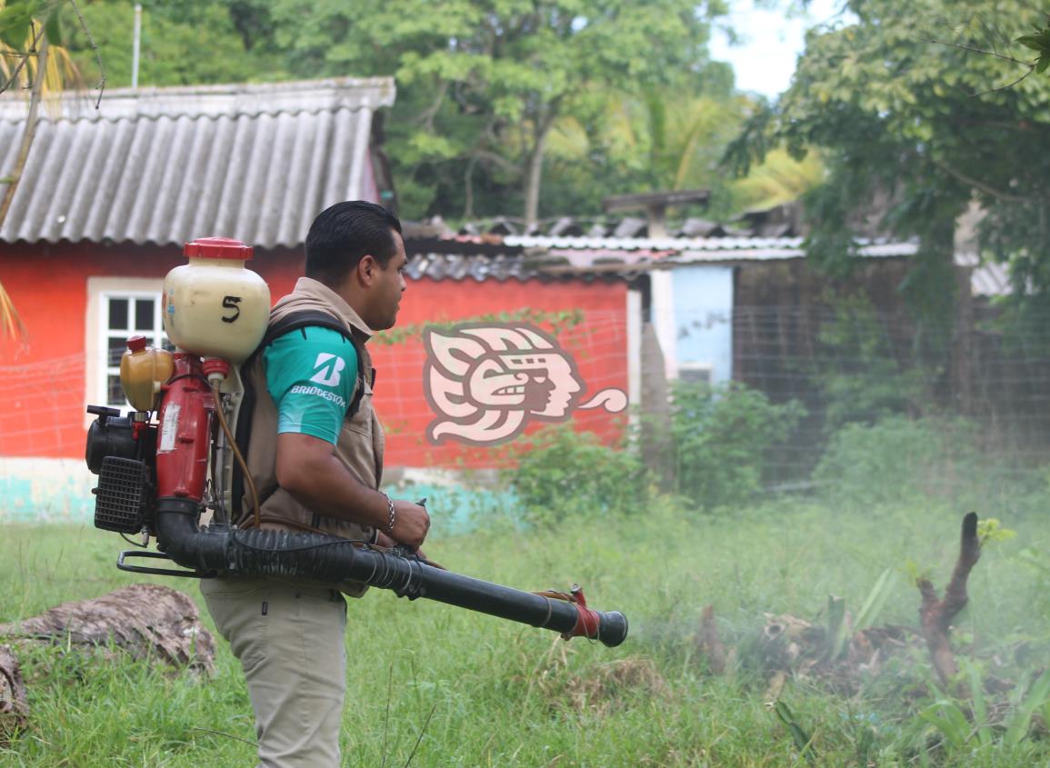 Refuerzan fumigación contra el dengue en Agua Dulce