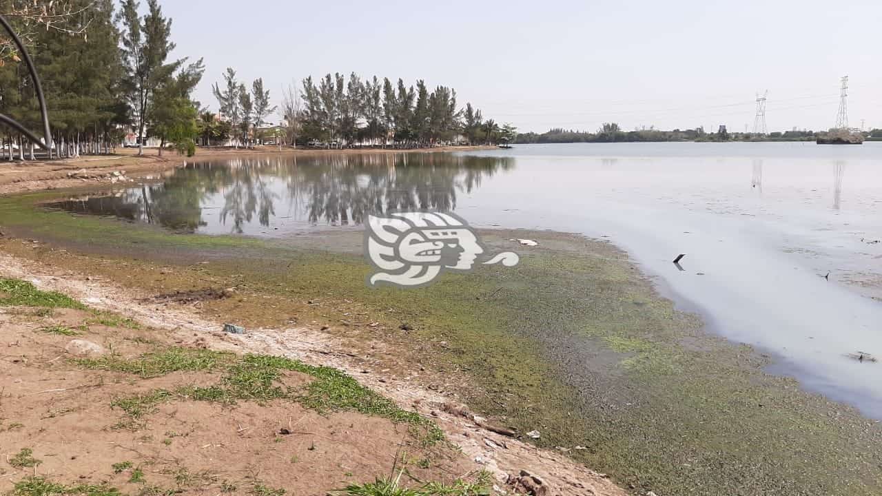 Denuncian vecinos disminución en cuerpo de agua en Laguna Real