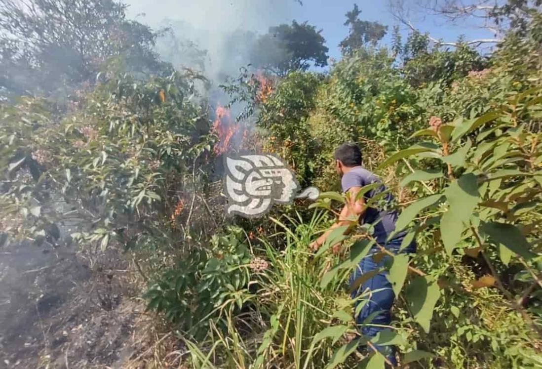 Alertará PC a agentes y subagentes para prevenir incendios forestales 