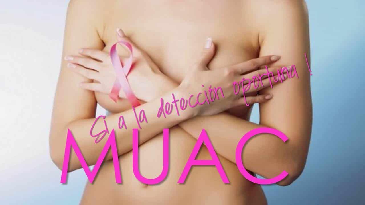 Piden no ignorar al cáncer de mama