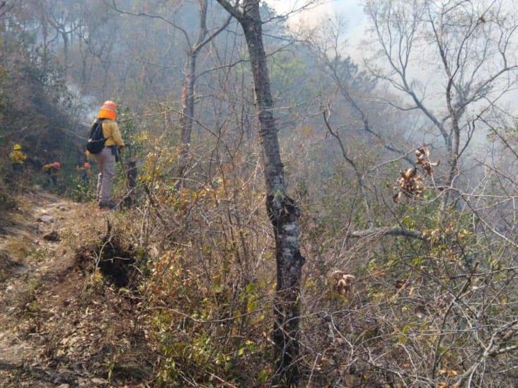 En Maltrata realizan brechas cortafuego para prevenir incendios forestales