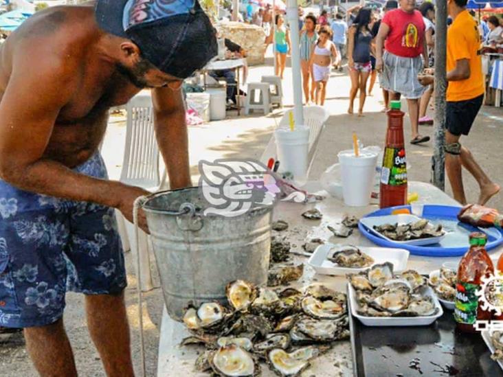 Reciclan conchas de almejas y ostión en Laguna de Pajapan