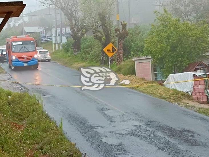 Dejan restos humanos cerca de una carretera en Zongolica