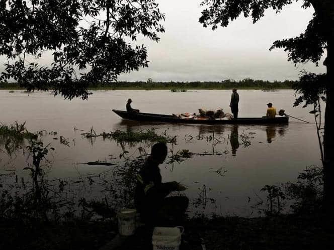 Brasil quiere mil millones de dólares para reducir deforestación del Amazonas