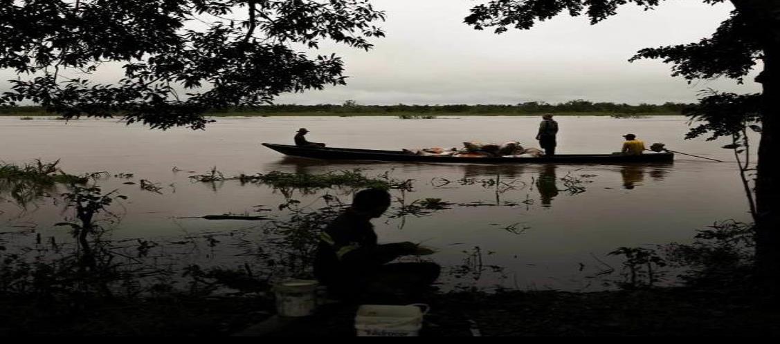 Brasil quiere mil millones de dólares para reducir deforestación del Amazonas