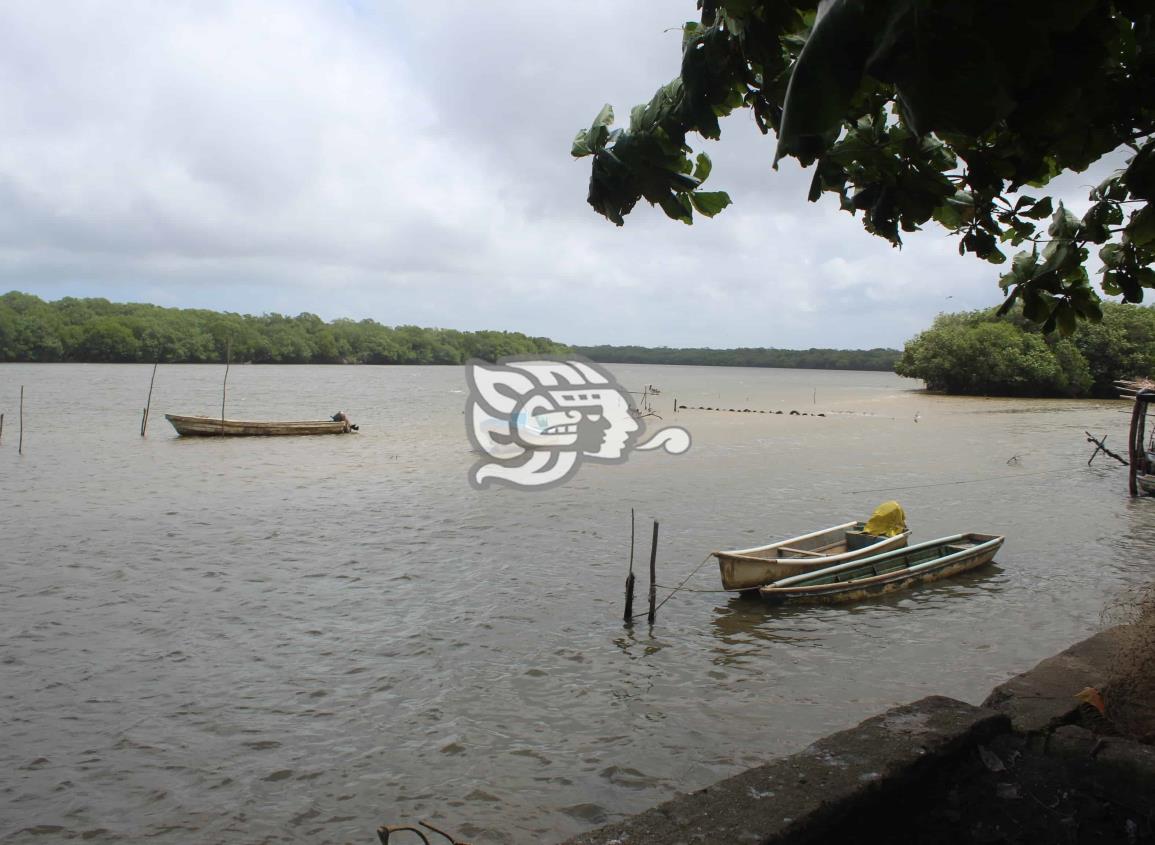 Arena obstruye caudal del río Tonalá; pescadores no producen