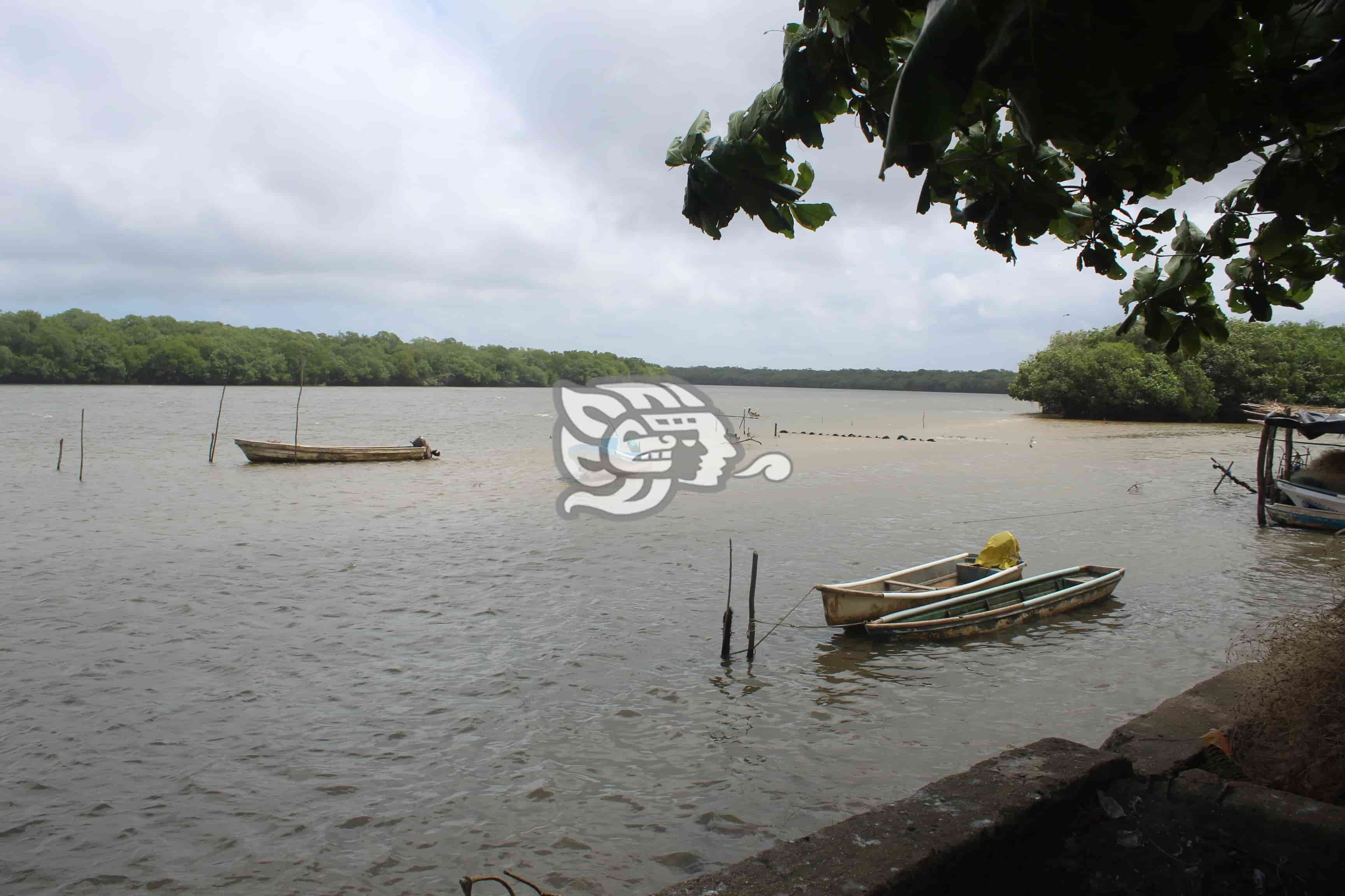 Arena obstruye caudal del río Tonalá; pescadores no producen