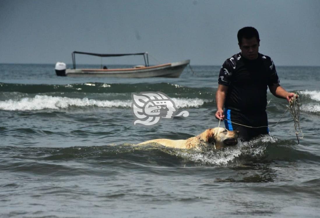 Calorón en Coatza; habrá surada y sensación de más de 40 grados