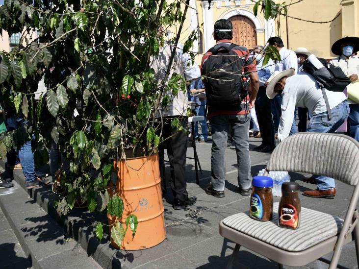 Cafeticultores exigen a autoridades rescatar al café veracruzano