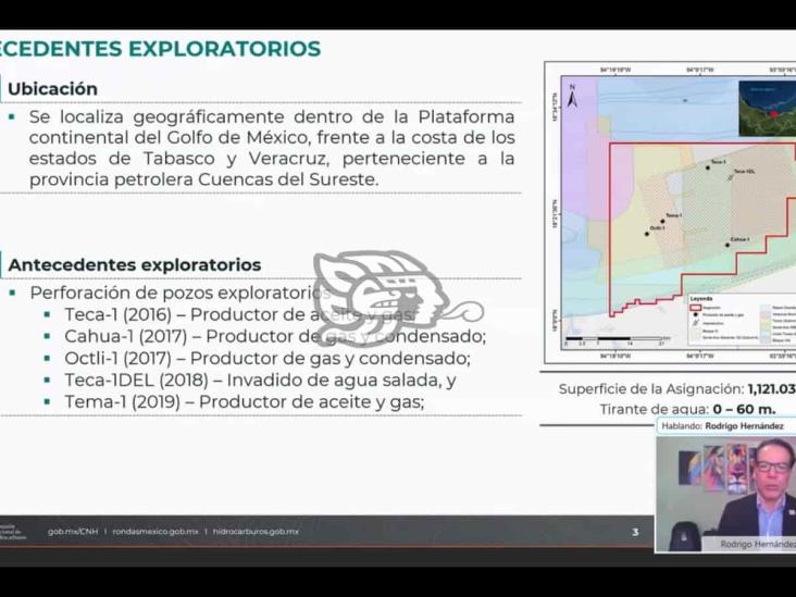 Pemex perforaría 10 pozos someros cerca de Coatzacoalcos