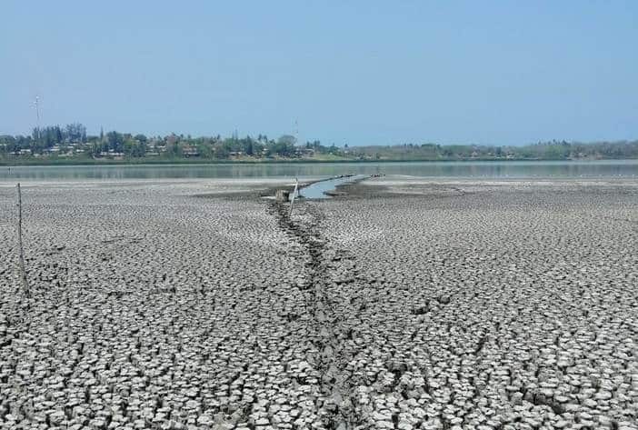 Muere laguna de Veracruz, sólo queda lodo ante sequía