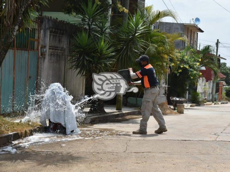 Soldador es atacado por abejas africanas en fraccionamiento de Acayucan