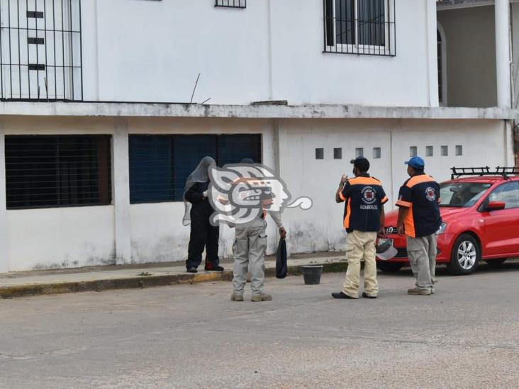 Soldador es atacado por abejas africanas en fraccionamiento de Acayucan