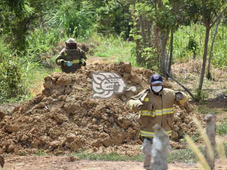 Soldador es atacado por abejas africanas en fraccionamiento de Acayucan