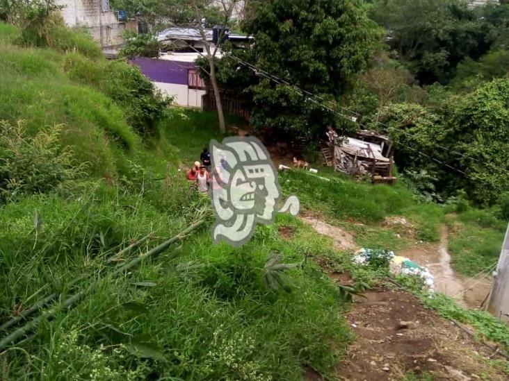 Jardinero cae a barranco cuando cortaba bambú en colonia Villalpando, en Xalapa