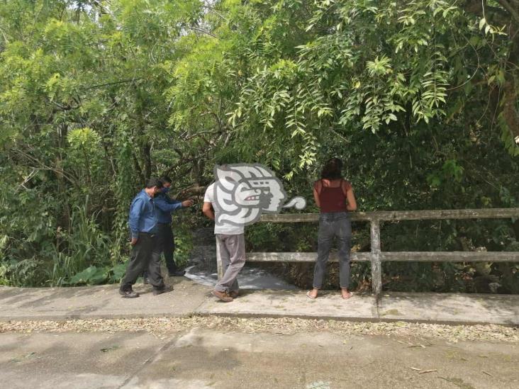 Pobladores y fauna afectados por contaminación del arroyo Chichigapa