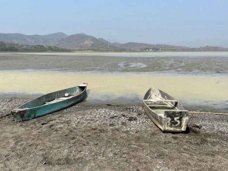 Pelícanos y patos mueren ante devastación de laguna El Farallón