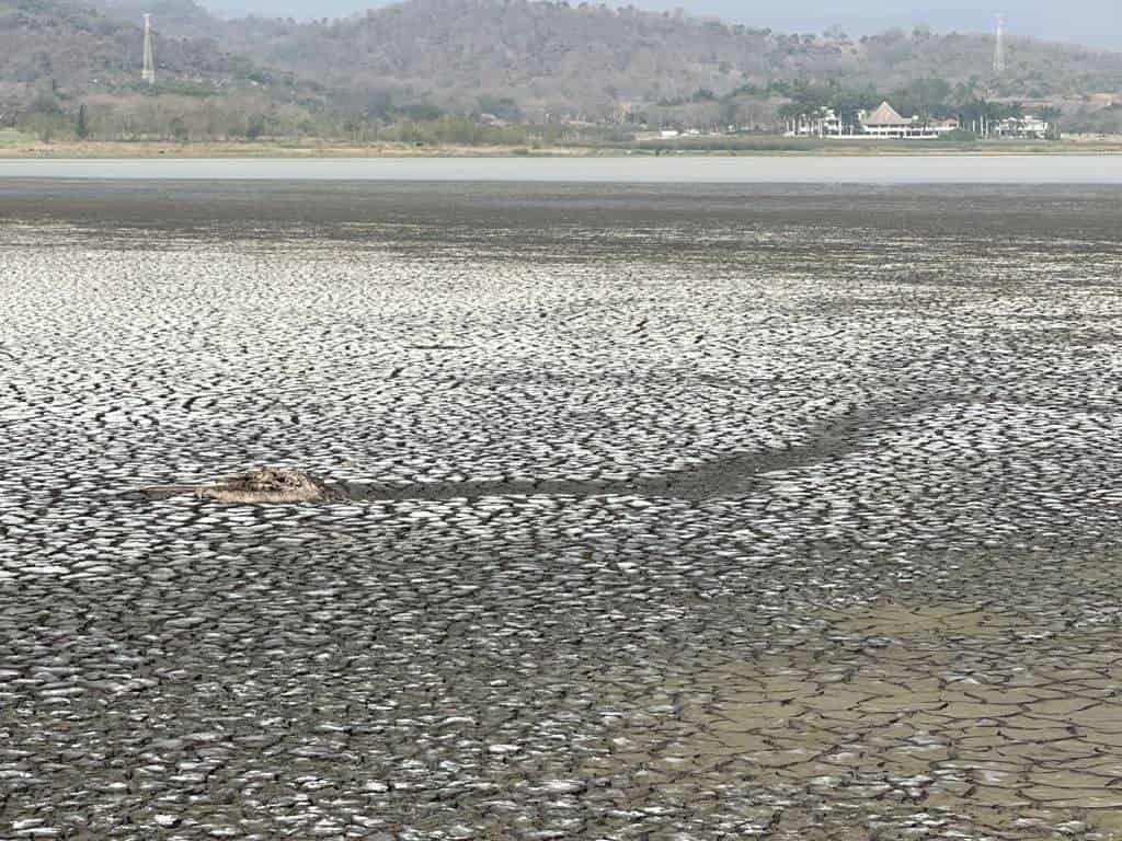 Alertas sobre saqueo a Laguna El Farallón, con años sin ser atendidas