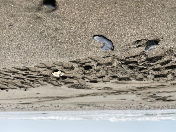 Buques con crudo contaminan playas de El Farallón, alertan