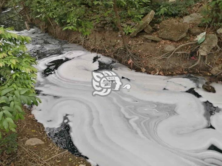 Profepa y Conagua toman muestreos en afluentes de Nanchital e Ixhuatlán 