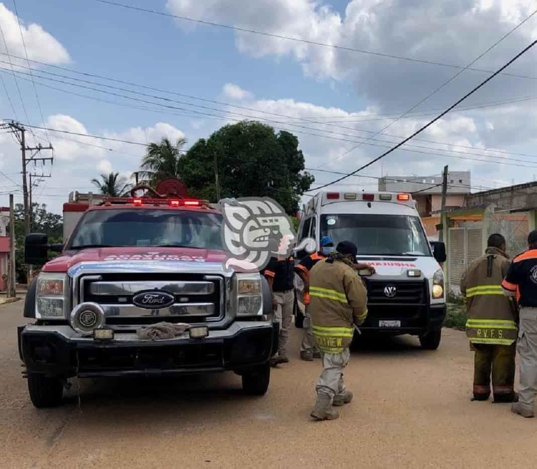 Sexagenario es atacado por abejas en Oluta