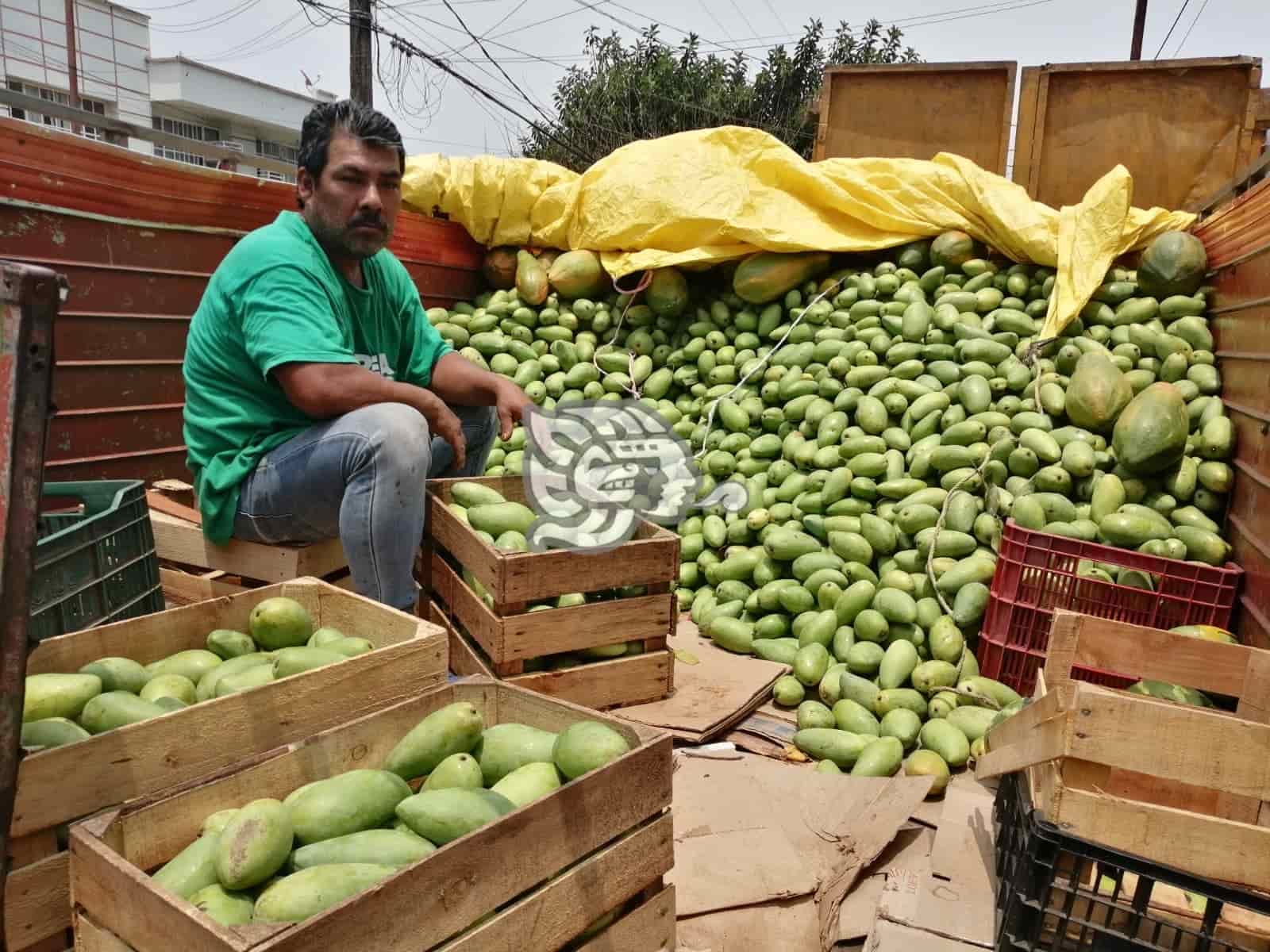 Desde la sierra de Soteapan, llegan toneladas de mango manila a Coatza