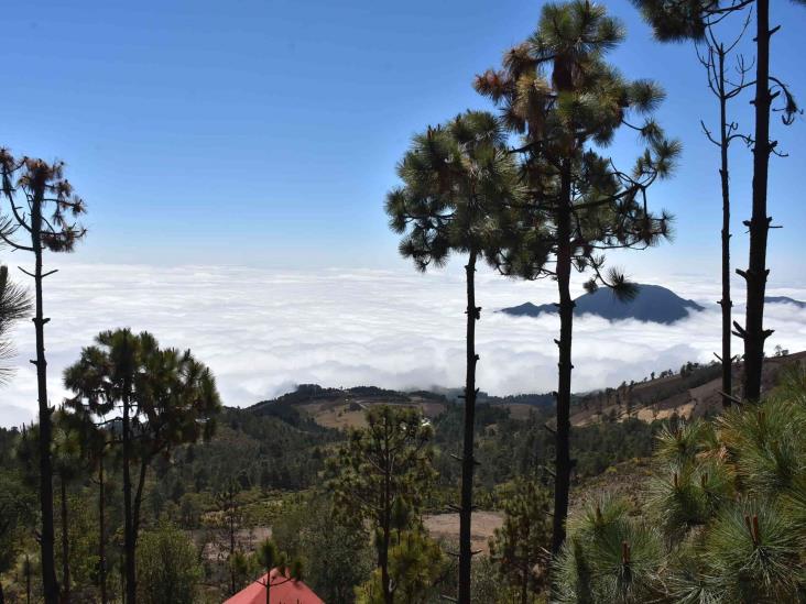 Tras encierro, repunta ecoturismo en Orizaba