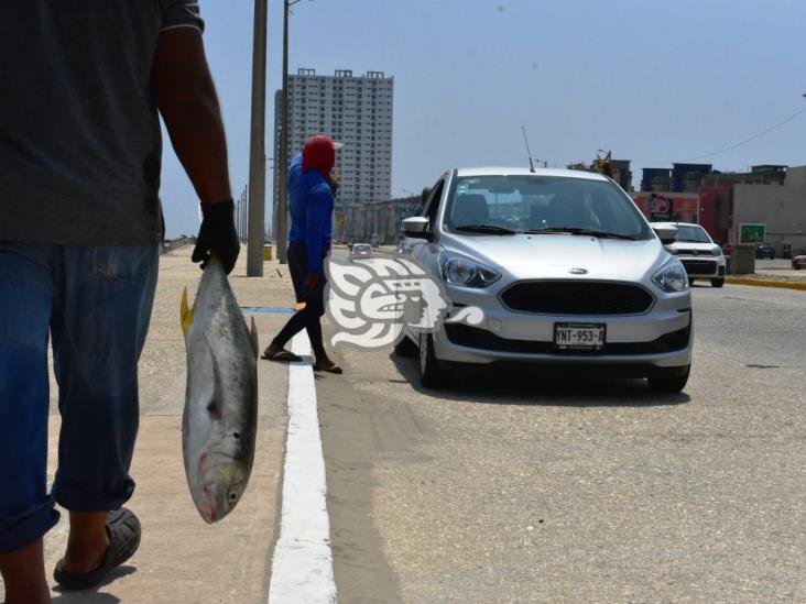 Venta de gallegos, un alivio para el bolsillo de pescadores