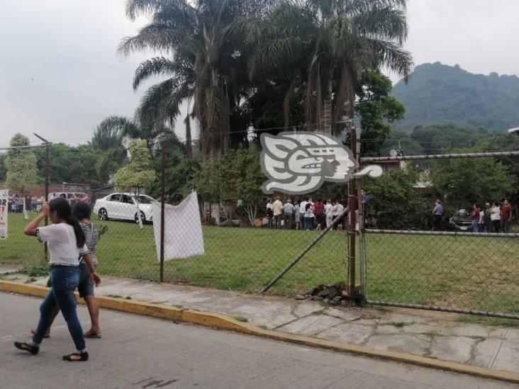 Palmera cae sobre menor en Atzacan